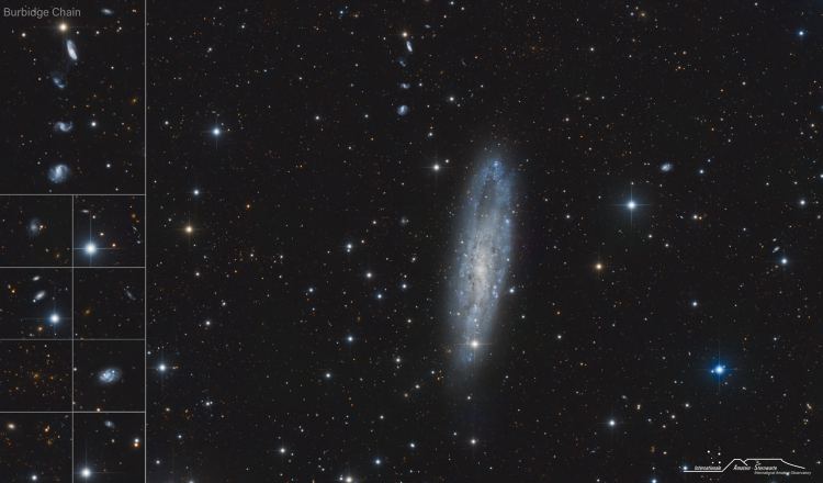 ngc247