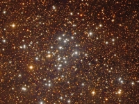 ngc6397